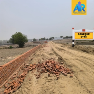 Dankaur ongoing